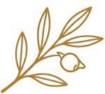 icon-sample icon-sample